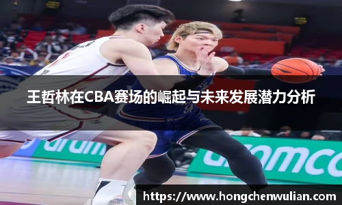 王哲林在CBA赛场的崛起与未来发展潜力分析