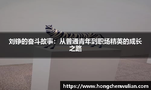 刘铮的奋斗故事：从普通青年到职场精英的成长之路